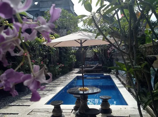 Mimba Private House Pensión